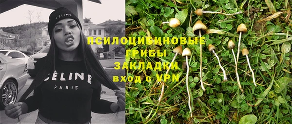 Альфа ПВП Бородино