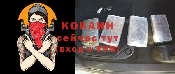 Альфа ПВП Бородино