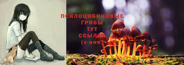 Альфа ПВП Бородино