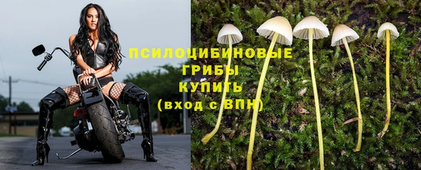 Альфа ПВП Бородино