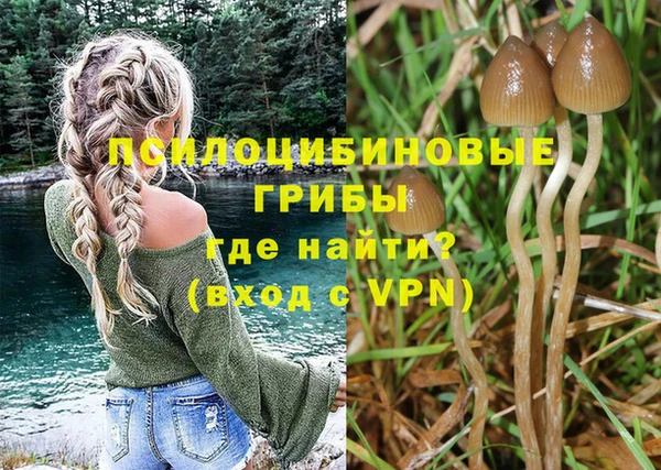 спиды Бугульма