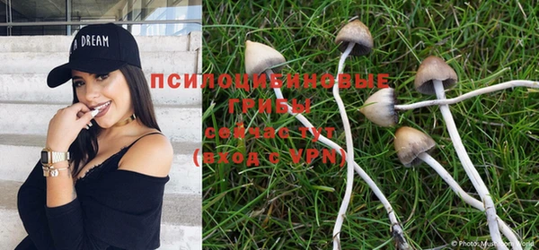 Альфа ПВП Бородино