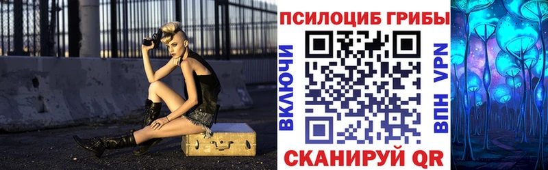 Галлюциногенные грибы Psilocybine cubensis  купить наркоту  Власиха 